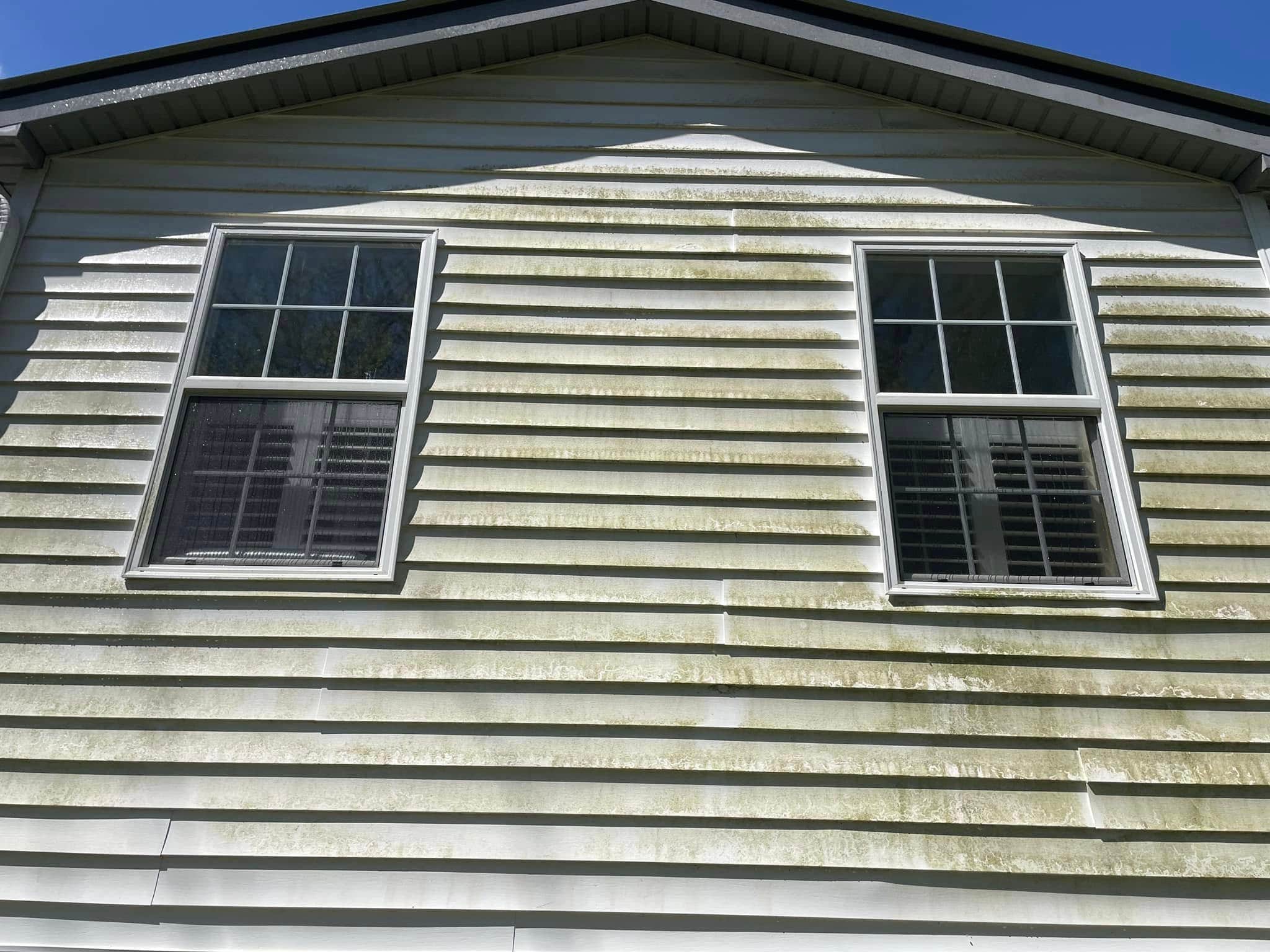Pollen Removal and House Washing in Wake Forest, NC - Before